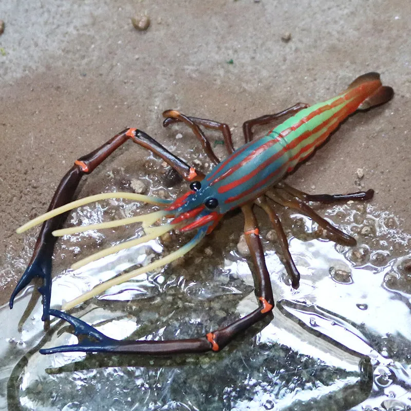 Animal Model Children's Educational Toys Simulation Shrimp Marine Biological Model Roche Shrimp White Feet Shrimp Teaching Toys