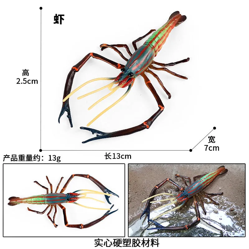 Animal Model Children's Educational Toys Simulation Shrimp Marine Biological Model Roche Shrimp White Feet Shrimp Teaching Toys