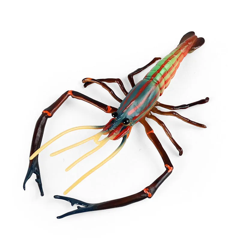 Animal Model Children's Educational Toys Simulation Shrimp Marine Biological Model Roche Shrimp White Feet Shrimp Teaching Toys