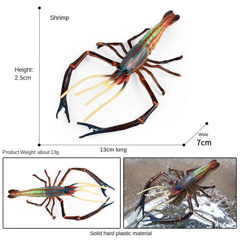 Animal Model Children's Educational Toys Simulation Shrimp Marine Biological Model Roche Shrimp White Feet Shrimp Teaching Toys