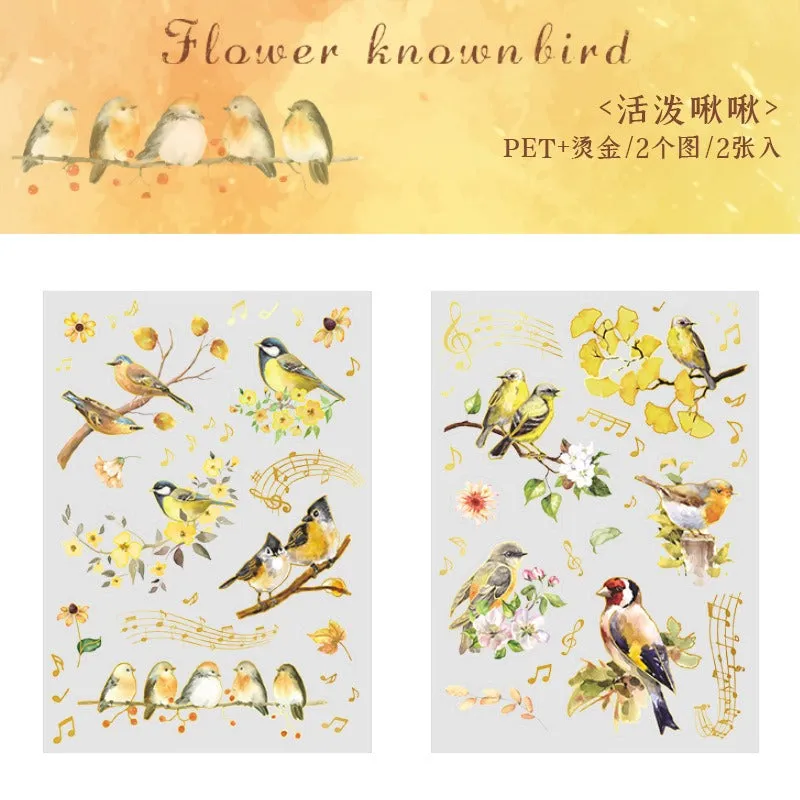 Beautiful Day Bird Series PET Sticker Pack