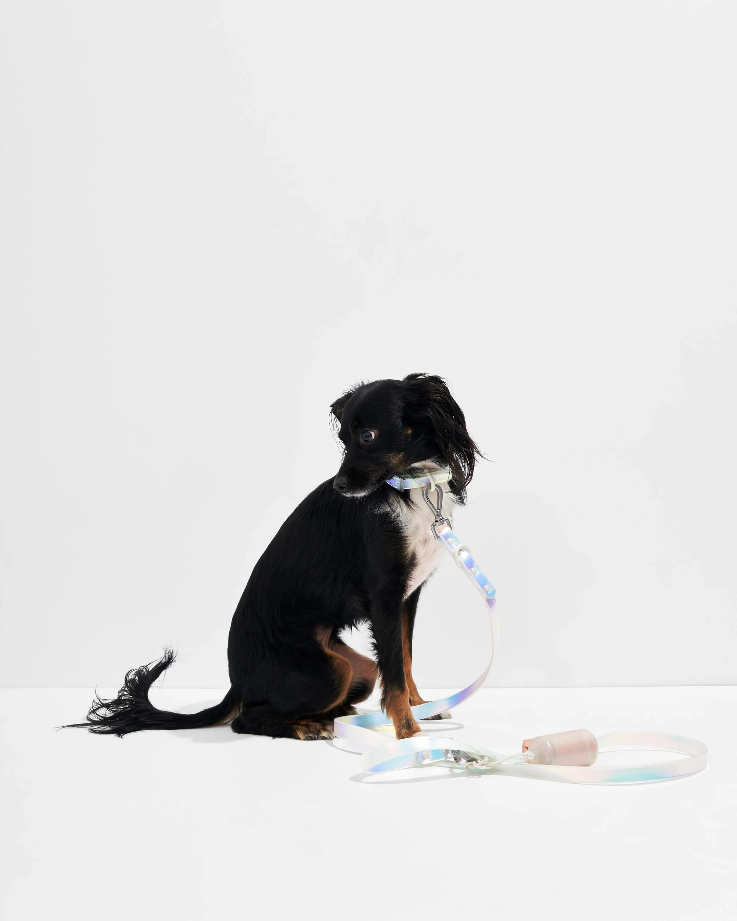 Collar Walk Kit