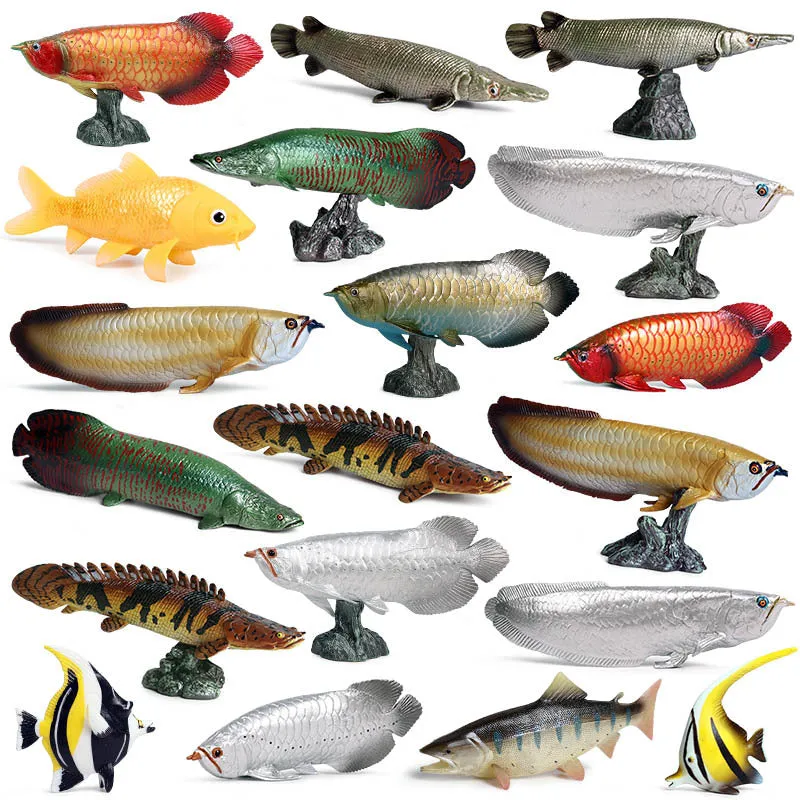 Marine Animal Model Arowana Ocean Freshwater Fish Children's Simulation Educational Teaching Toys