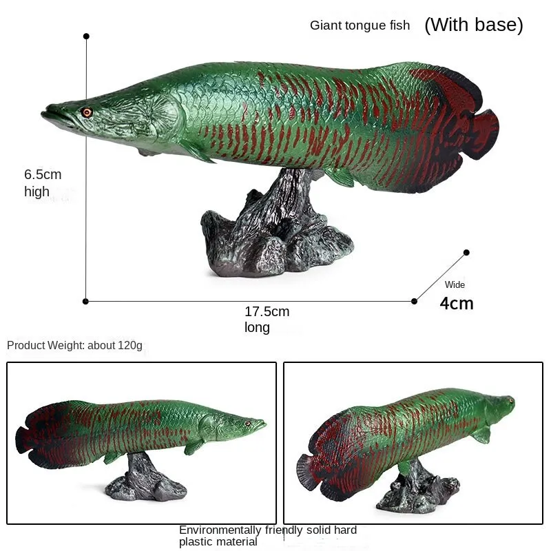 Marine Animal Model Arowana Ocean Freshwater Fish Children's Simulation Educational Teaching Toys
