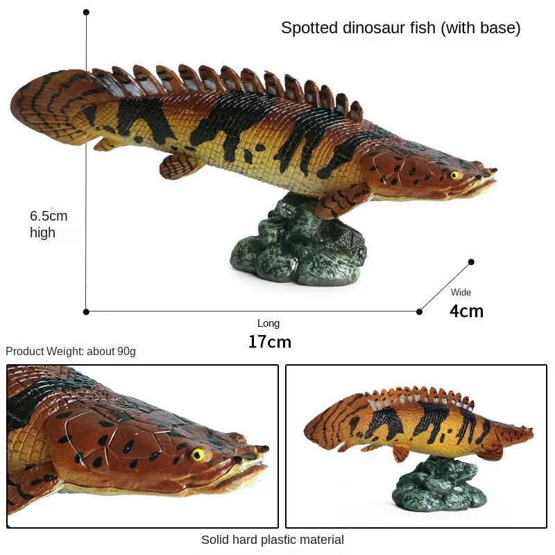 Marine Animal Model Arowana Ocean Freshwater Fish Children's Simulation Educational Teaching Toys