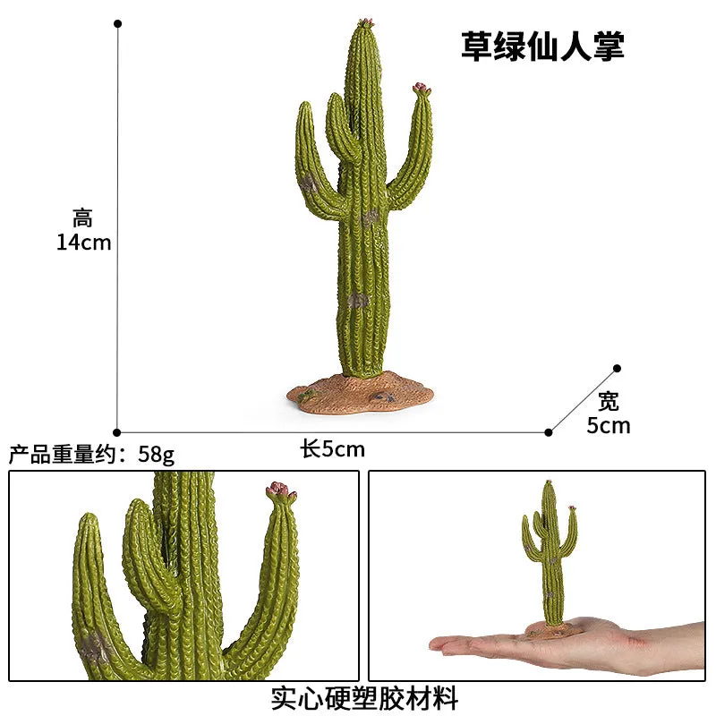 Micro Landscape Plant Decoration Simulation Cactus Baobab Apple Tree Rockery Sand Table Scene Decoration Tree Model