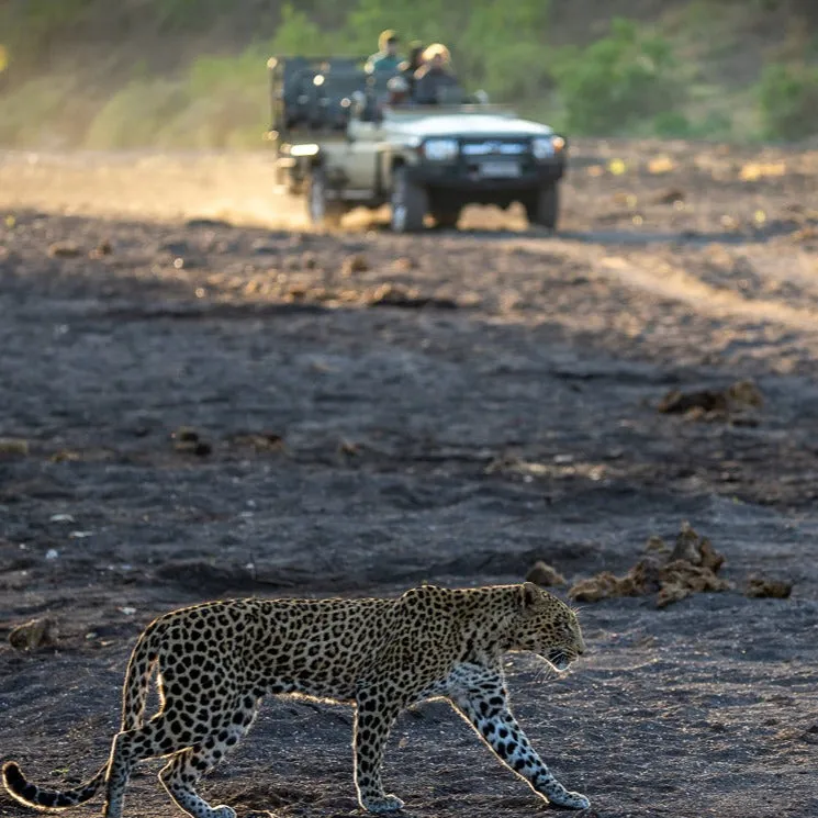"Well"cation - bounti in Botswana Trip | Luxury Suite, Sharing Room