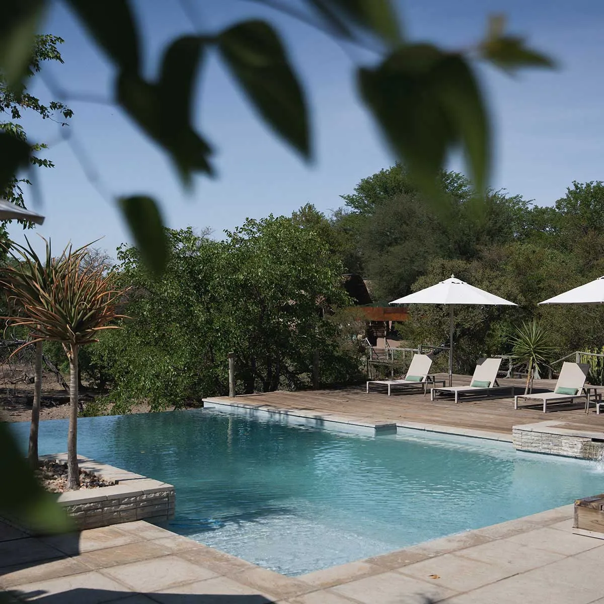 "Well"cation - bounti in Botswana Trip | Luxury Suite, Sharing Room
