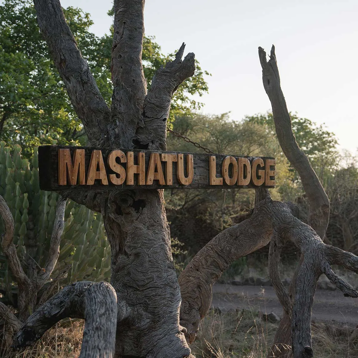 "Well"cation - bounti in Botswana Trip | Luxury Suite, Sharing Room