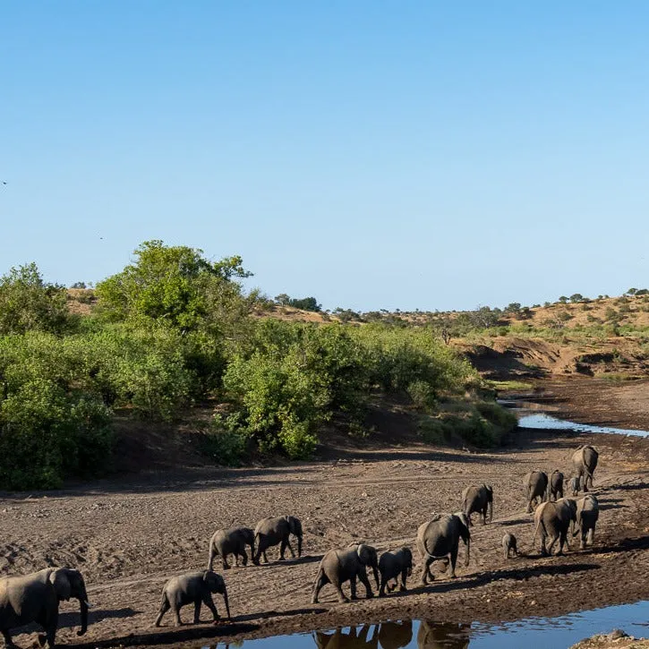 "Well"cation - bounti in Botswana Trip | Luxury Suite, Sharing Room