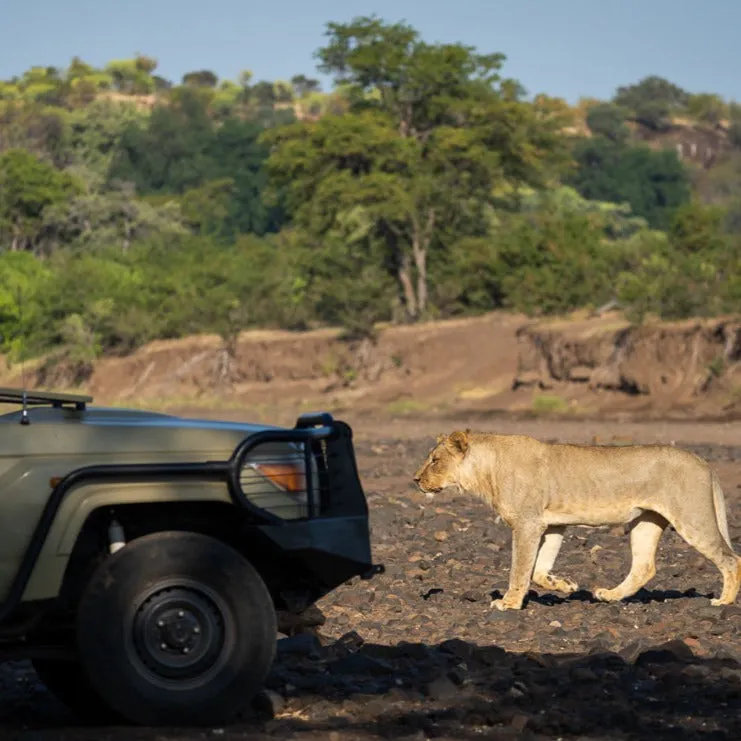 "Well"cation - bounti in Botswana Trip | Luxury Suite, Sharing Room