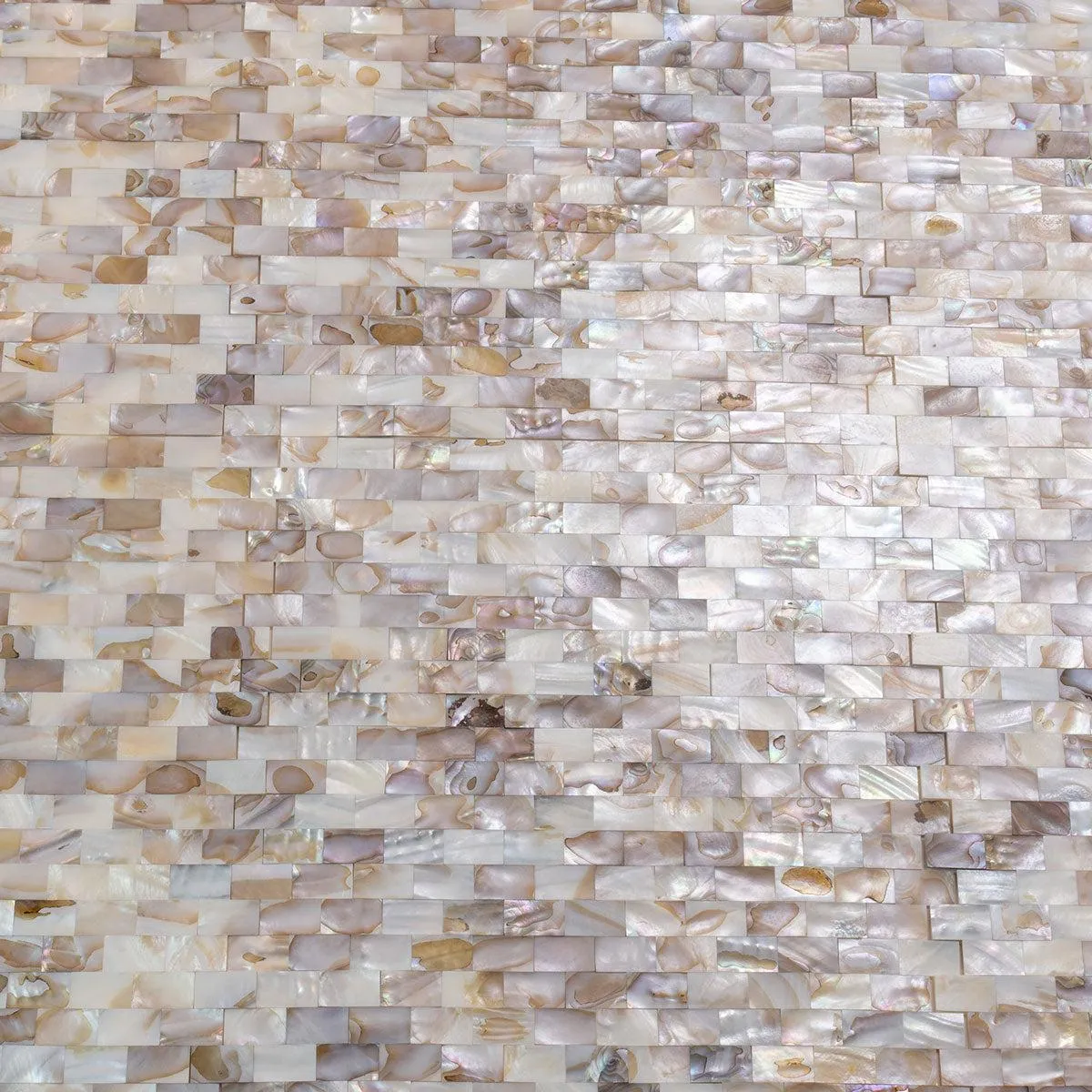 Seashell Dreams Brick Mosaic Tile