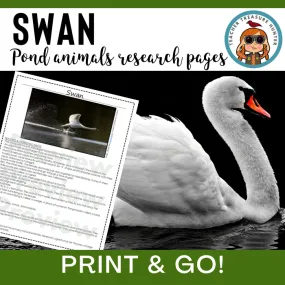 Swan Animal Research Pages for pond study and life science lessons