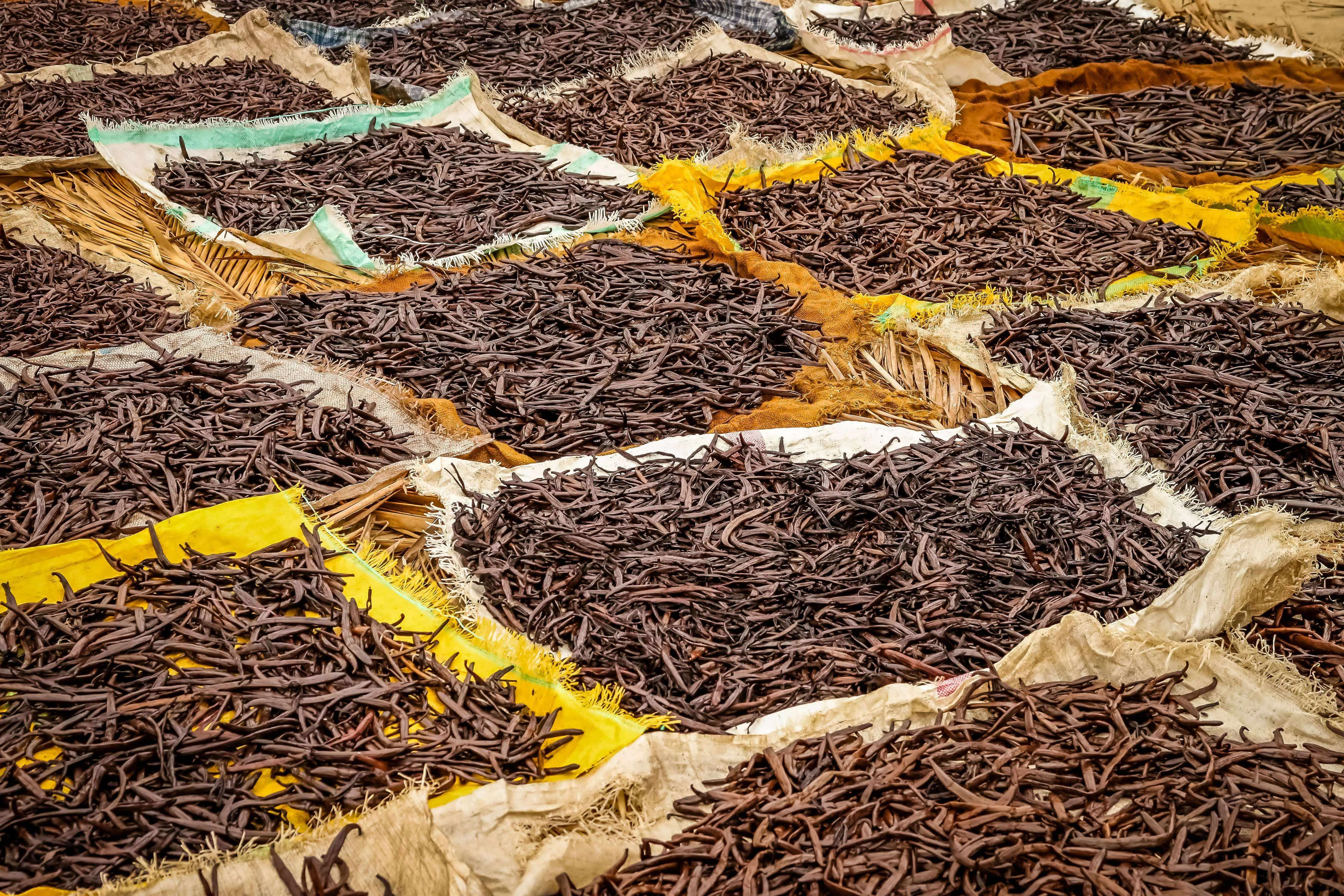 Tahitian Vanilla Beans - Whole Grade B Pods for Extract