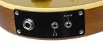 Traveler EG-1 Custom (Gold)